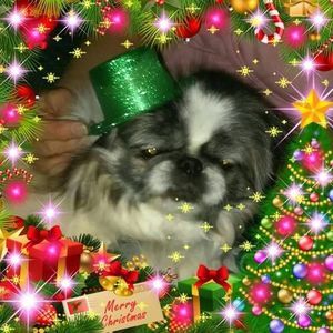 Meet your Posher, Lucy